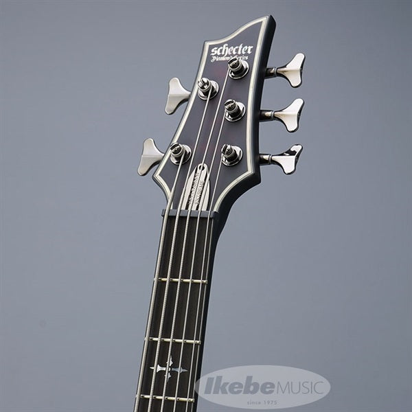 Hellraiser_Extreme-5_[AD-HR-EX-BASS-5]_(CRBS)_08