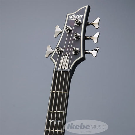 Hellraiser_Extreme-5_[AD-HR-EX-BASS-5]_(CRBS)_08