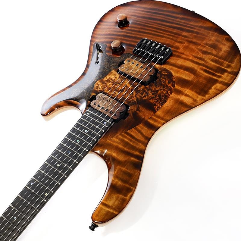 Ikebe_50th_Anniversary_Model_Regius_Core_Guard_6_Redwood_Curly_Top_06