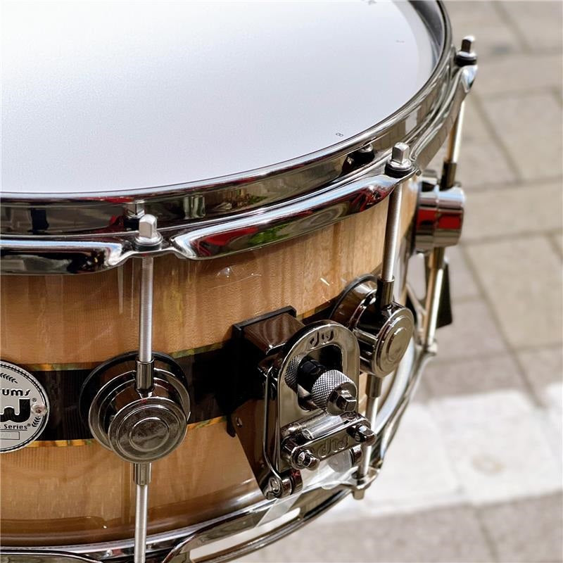 [Ikebe_Musical_Instrument_Store_50th_Anniversary_Special_Model]_DR366514SSN-DC3_[Collector's_Pure_Maple_''333''_Shell_14x6_5___Quick_Candy_Black_Burst_over_Italian_Sycamore_Exotic_Veneer_-_Ziricote_Inlay_with_Gold_Leaf_Pinstripes]_02