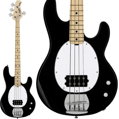 Intro_Series_Ray2_(Black_Maple)_01