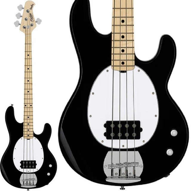 Intro_Series_Ray2_(Black_Maple)_01