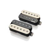 JR_DAEMONUM_SET_[Slipknot_Jim_Root_Signature_Pickup]_(Zebra)_for_Floyd_[Authentic_Import]_01