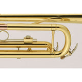 J__Michael_TR-380_Bb_Trumpet_(Pre-tuned_for_peace_of_mind)_03