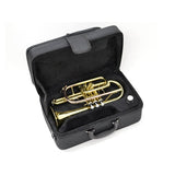 J__Michael___CT-420_[Bb_Cornet]_[Pre-tuned_for_peace_of_mind]_03