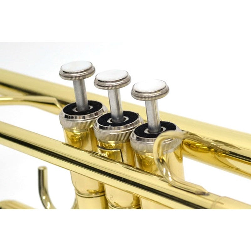 J__Michael___TR-200_[Bb_Trumpet]_[Pre-tuned_for_peace_of_mind]_07