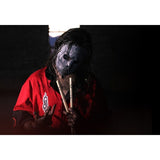 Jay_Weinberg's_908_[VHJW908]_02