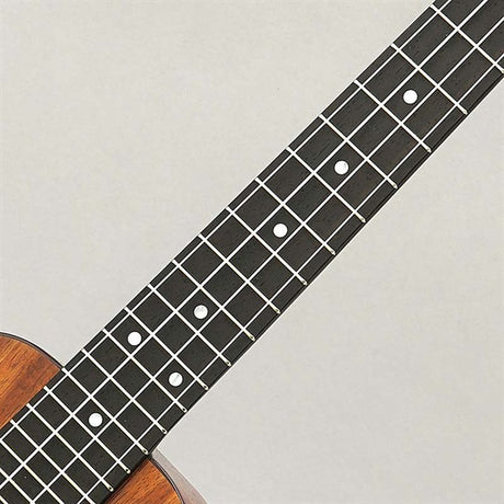 K-3C_DG_Kanilea_07