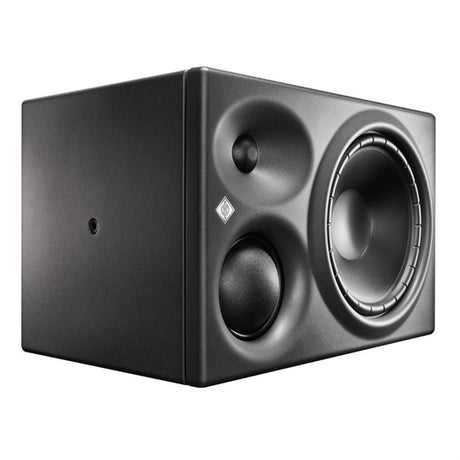 KH_310_ALG_(1_unit)_(Neumann)_(monitor_speaker)_02
