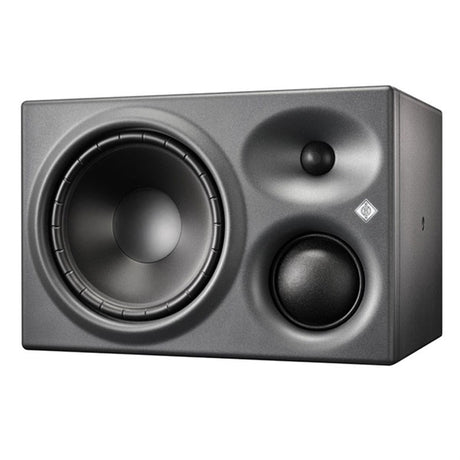 KH_310_ARG_(1_unit)_(Neumann)_(monitor_speaker)_02