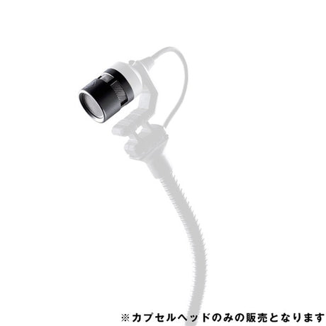 KK_14_(MCM_capsule_head)_(Neumann)_01
