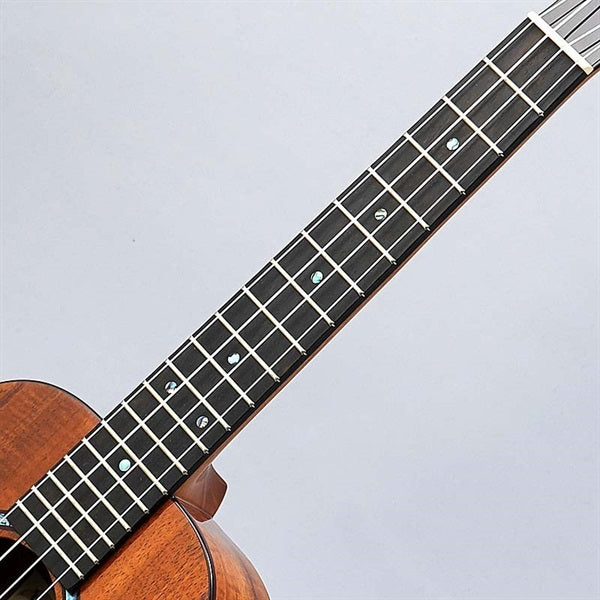 KPA_Tenor_Premium_Gloss_[KPAT_PG]_Kanilea_07