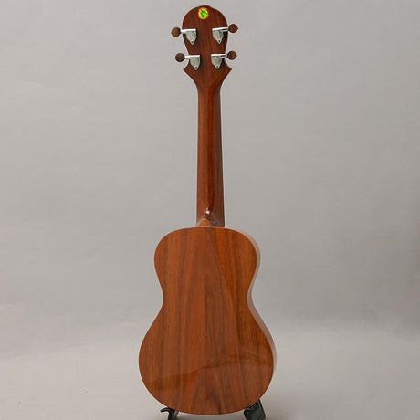 KT-CTS_Big_Island_02