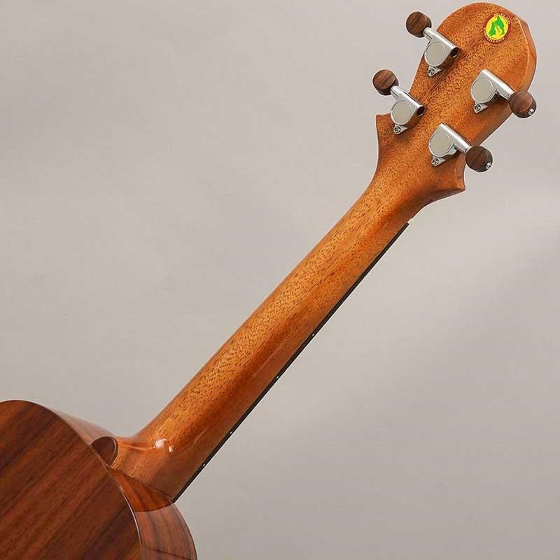 アウトレット特価 BIG ISLAND KT-CTS ビッグアイランド コンサート