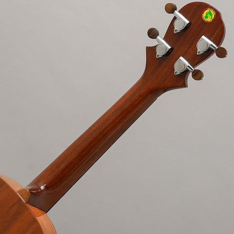 KT-CTS_Big_Island_10