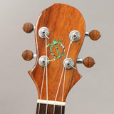 KT-SPS_Big_Island_11