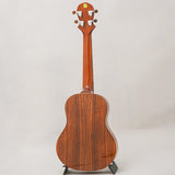 KT-TR_Big_Island_02