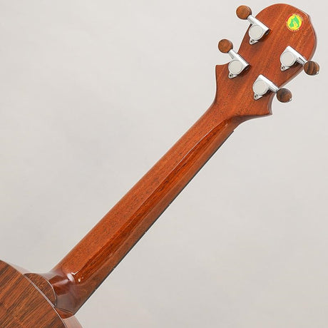 KT-TR_Big_Island_10
