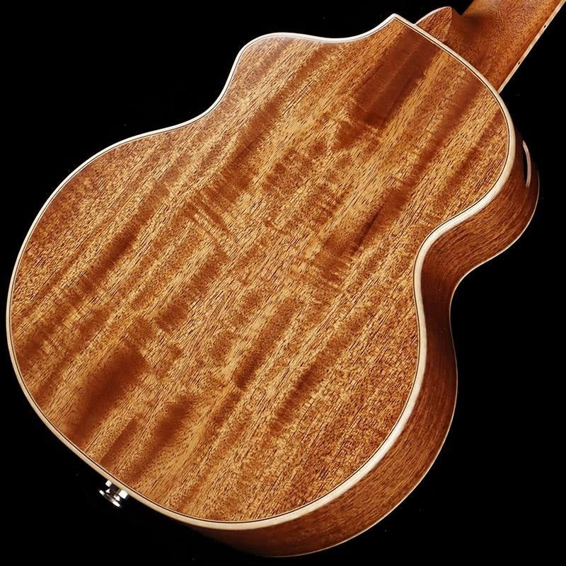 Le_light_Koa_w_EQ_El_Lucia_05