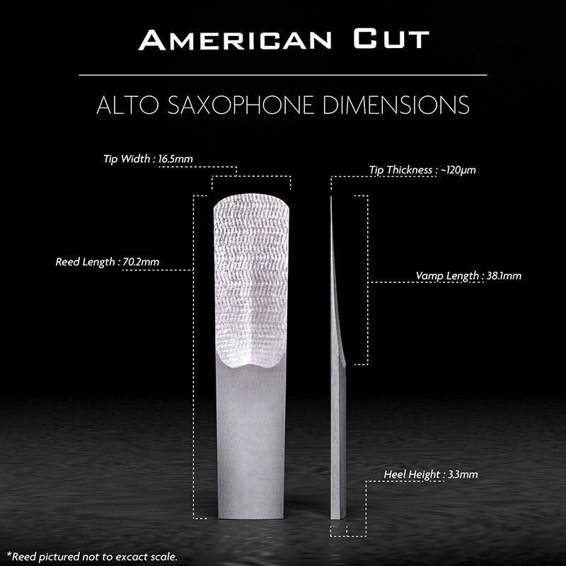 Legere_American_Cut_Alto_Saxophone_Reed_(Hardness__2_25)_03