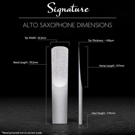 Legere_Signature_Alto_Saxophone_Reed_(Hardness__3_75)_03