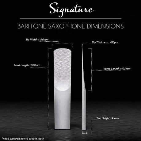 Legere_Signature_Baritone_Saxophone_Reed_(Hardness__3_5)_03