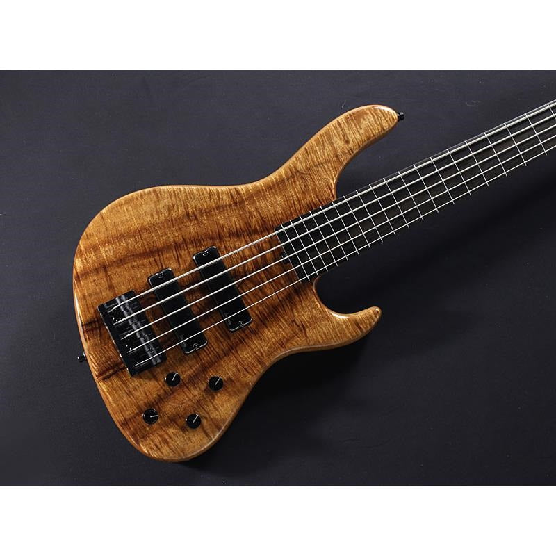 Limited_Edition_2025_MasterBuilt_24-Fret_Modern_Bass_5st_Fretless_(AAAAA_Koa_Top)_#025_03