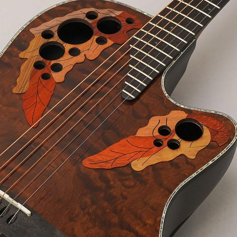 [Limited_Quantity_Special_Price]_Celebrity_Elite_Exotic_CE44P-TGE_07