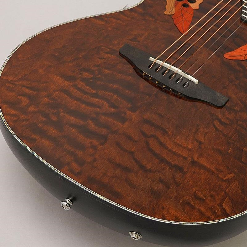 [Limited_Quantity_Special_Price]_Celebrity_Elite_Exotic_CE44P-TGE_08