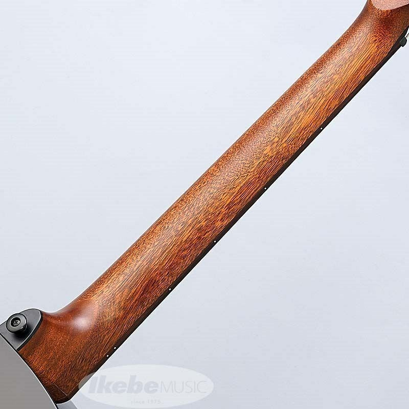 [Limited_Quantity_Special_Price]_TRAMONTANE_T118ASCE-BLK_Rug_08