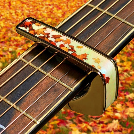 Limited_Series_BC-AUTUMN_PEARL_[New_Specifications]_Tagliacapo_03