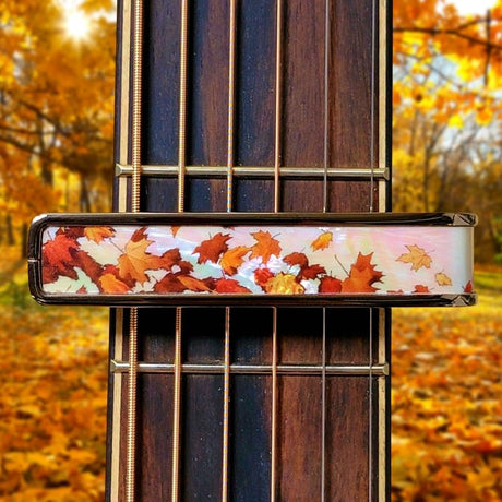Limited_Series_BC-AUTUMN_PEARL_[New_Specifications]_Tagliacapo_04