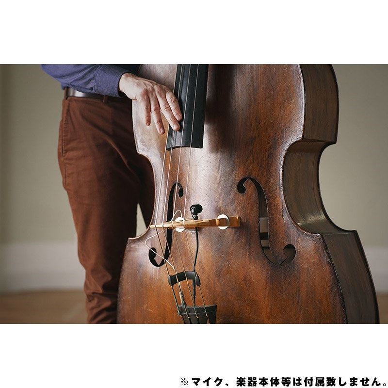 MC_3_(MCM_String_Clip_Contrabass)_(Neumann)_02