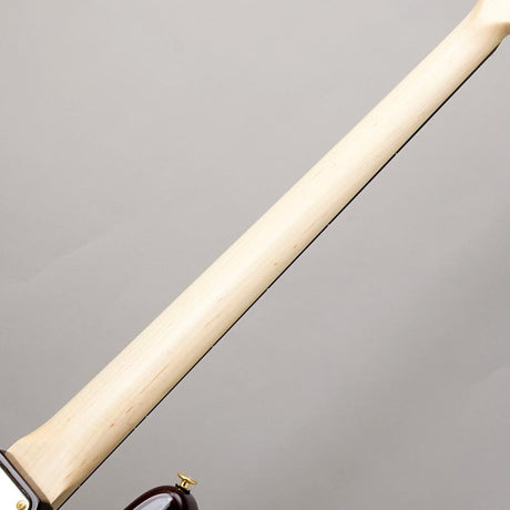 MJ-BURL_TOCHI_WSE'25_E_(VWR-GRD)_[Selected_for_the_Deviser_One_Day_Guitar_Show_2025]_06