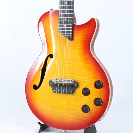 MM_Produce_SE-01_F_(CS)_MD_Guitars_01