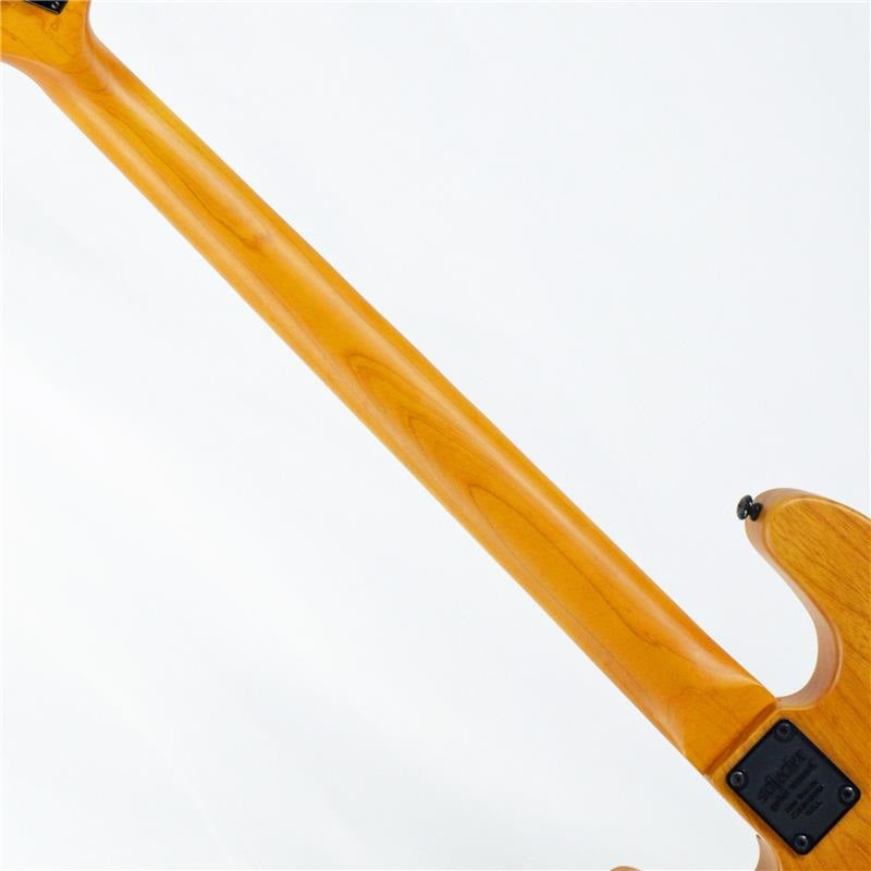 MODEL-T_SESSION_[AD-MT-SS]_(Aged_Natural_Satin)_[Special_Price]_07