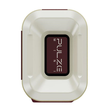 [MONO_Wallet_Gift!]_PULZE_MINI_(AP-5WH)_Bluetooth_Modeling_Amplifier_04