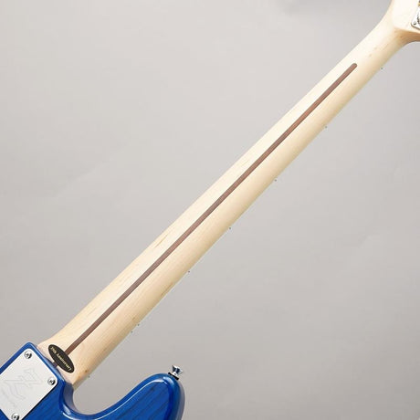 M#245_Custom_(TP-BLUE_M_MH)_06