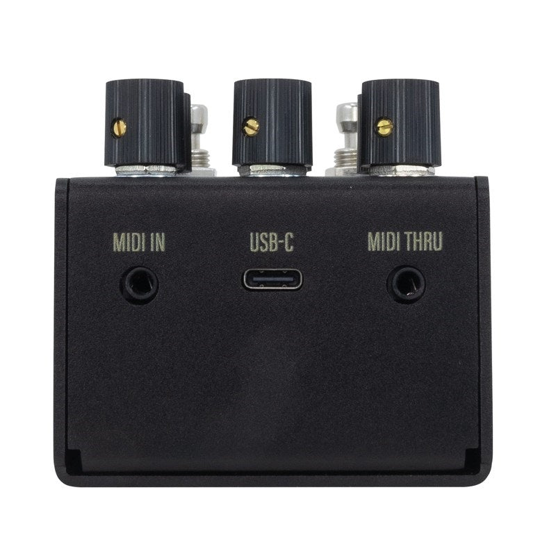 Mako_Series_MKII__R1_High-Fidelity_Reverb_WAL-MAKO_R1MK2_(Walrus_Audio)_Reverb_04