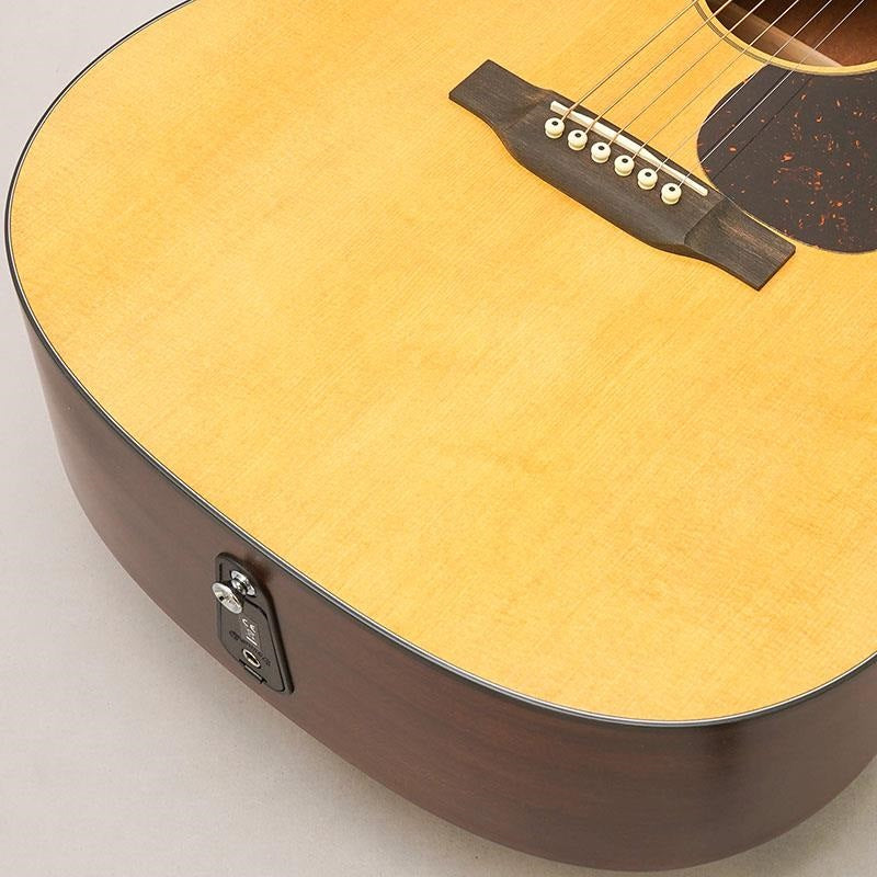 Martin_D-10E_Retro_08