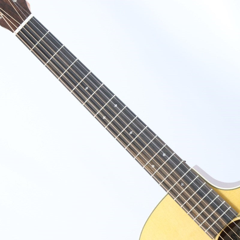 Martin_GPC-10E_Vintage_Inspired_Road_Series_[Limited_Special_Model]_06