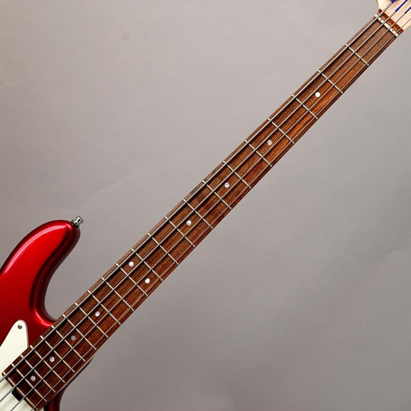 MetroLine_22-Fret_Will_Lee_Alder_4st_(CAR)_05