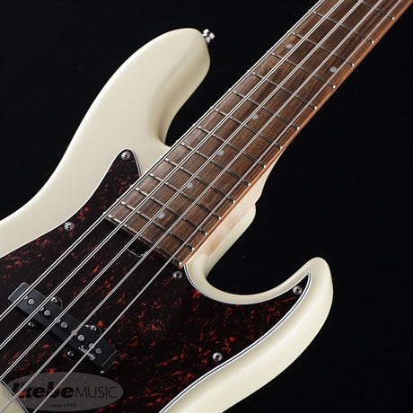 MetroLine_22-Fret_Will_Lee_Alder_5st_(OWT)_05