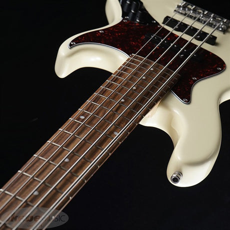 MetroLine_22-Fret_Will_Lee_Alder_5st_(OWT)_06