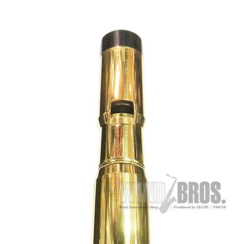 Michael Burke Tin Whistle D Brass Session (Tin whistle in D, brass