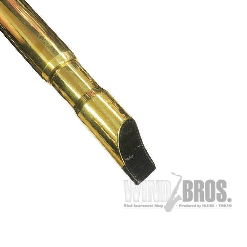 Michael_Burke_Tin_Whistle_D_Brass_Session_(Tin_whistle_in_D，_brass)_05