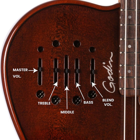 Multiac_Mundial_Kanyon_Burst_Godin_11
