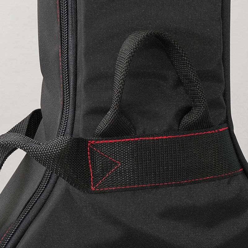 NAZCA_IKEBE_ORDER_Protective_Case_For_Taylor_GC_Nazca_08