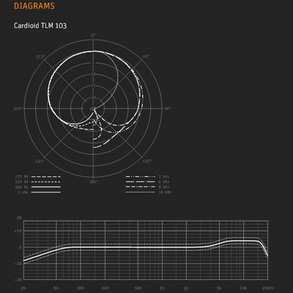 Neumann_TLM_103_(Unidirectional_Large-Diaphragm_Condenser_Microphone)_08