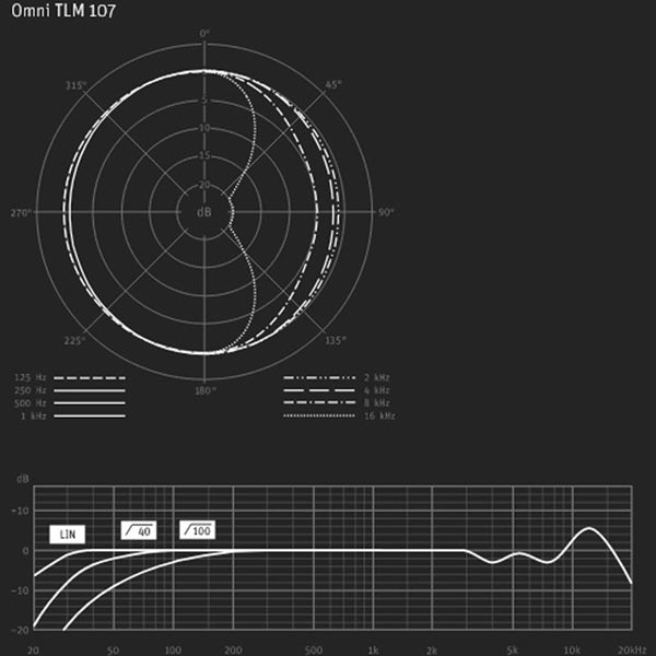 Neumann_TLM_107_Studio_Set_(3-Year_Warranty)_(Condenser_Microphone)_05